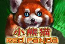 Red Panda