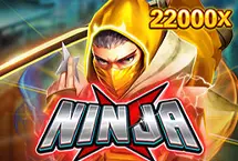 Ninja X