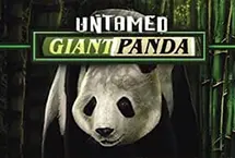 Untamed - Giant Panda